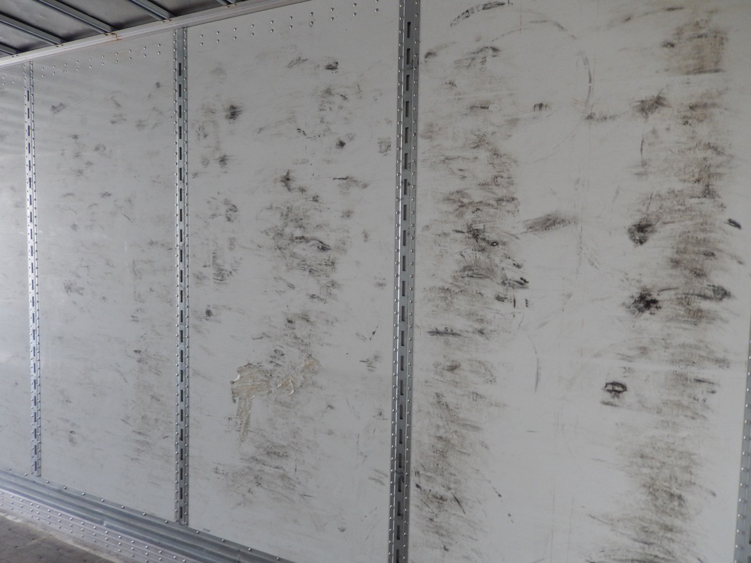 2019 VANGUARD VXP - Image 8